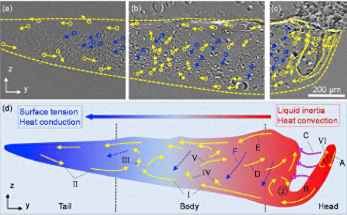 腐蚀检验检测_腐蚀钢检测结构有哪些_钢结构腐蚀检测