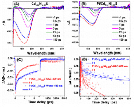 腐蚀钢检测结构有哪些_腐蚀检验检测_钢结构腐蚀检测