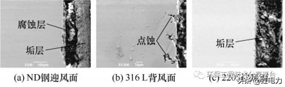 腐蚀钢检测结构设计_钢结构腐蚀检测_腐蚀检验检测