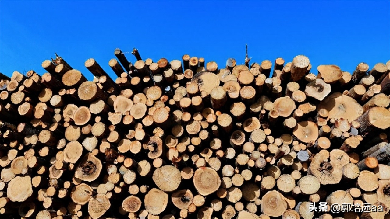 钢结构楼板混凝土浇筑_钢结构混凝土楼顶_钢结构屋顶浇筑混凝土